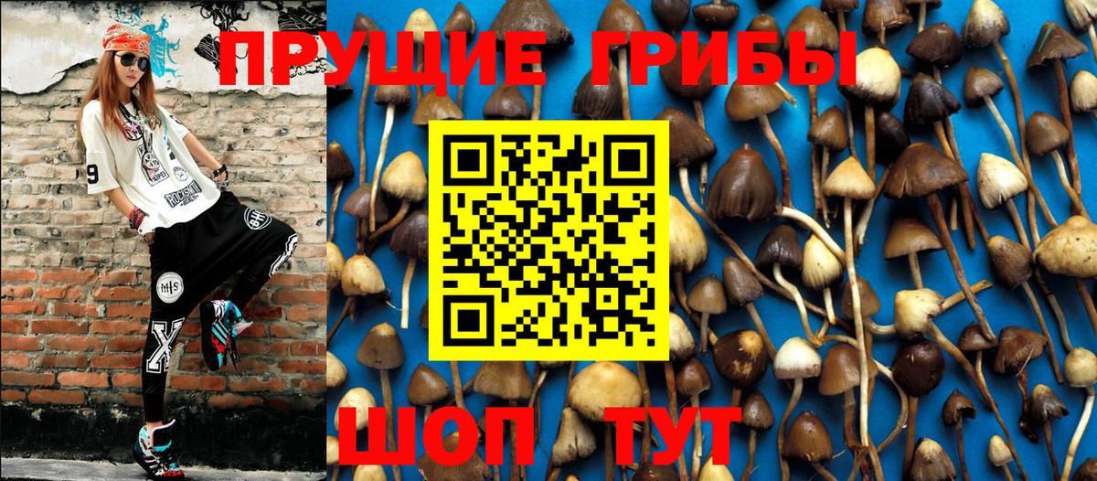 Псилоцибиновые грибы Magic Shrooms Калининград