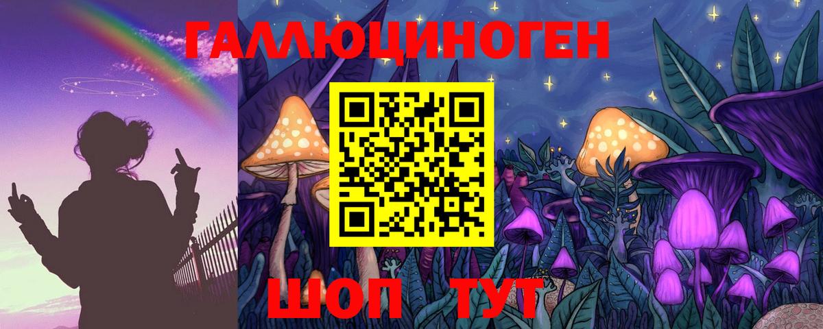 Псилоцибиновые грибы мухоморы  Вход с VPN  Галлюциногенные грибы мицелий  где купить наркоту  Калининград 